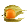 favicone-lapoelee-web